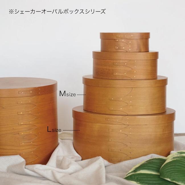 シェーカーオーバルボックス M・Lセット(アクシス AXCIS シェーカー 