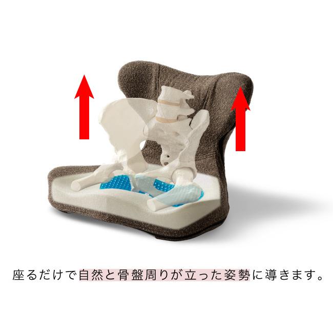 馬具マットプレミアムアドバンス(健康 座椅子 姿勢サポート 腰 背中