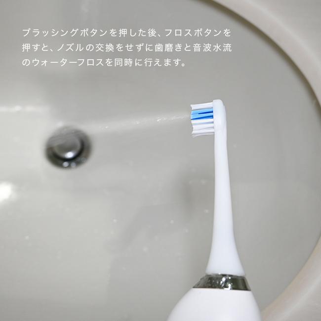 パーフェクトダブルケア 2in1ブラシ＆フロス コンパクト 本体セット