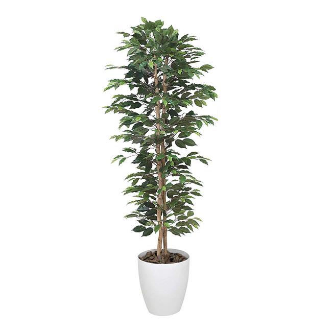 光の楽園　ベンジャミンスリム　1.6m　観葉植物　ベンジャミン　フェイクグリーン　メーカー直送(造花　大きい　おしゃれ)