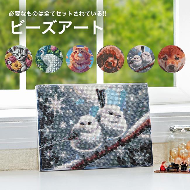 ビーズアート ダイヤモンドキャンパス K14780(ダイヤモンドアート