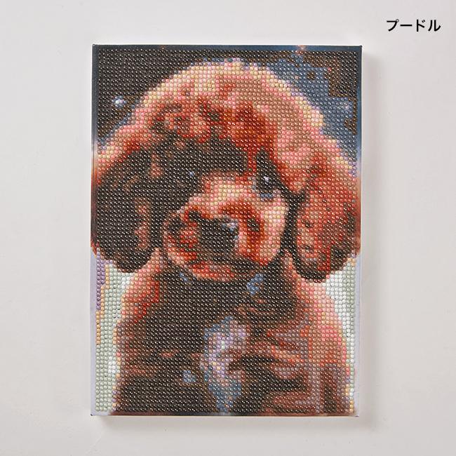 ビーズアート ダイヤモンドキャンパス K14780(ダイヤモンドアート