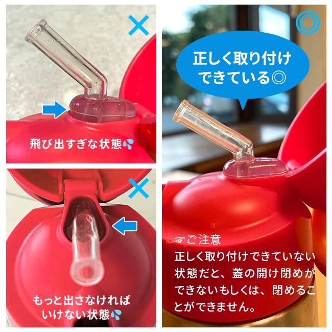 b.box ビーボックス ステンレスボトル 500ml＆ボトルキャリア(水筒