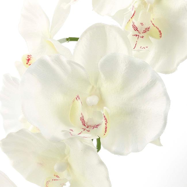 光の園 光触媒 人工観葉植物 フェイクグリーン プレミアム胡蝶蘭7本立P 光