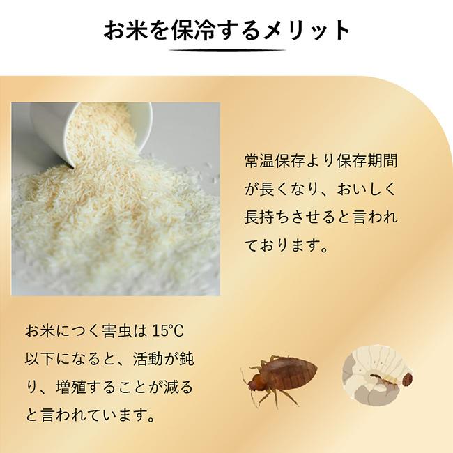保冷米びつ ライスクーラー 21kg(米びつ 21キロ 保冷 機能 付き 米櫃 クーラー こめびつ おしゃれ 米) 1-2W メーカー直送_3