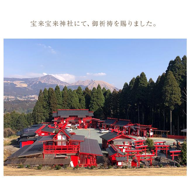 宝来宝来神社御祈祷 初夢木彫り鏡餅(鏡餅 木製 飾り 一富士二鷹三茄子