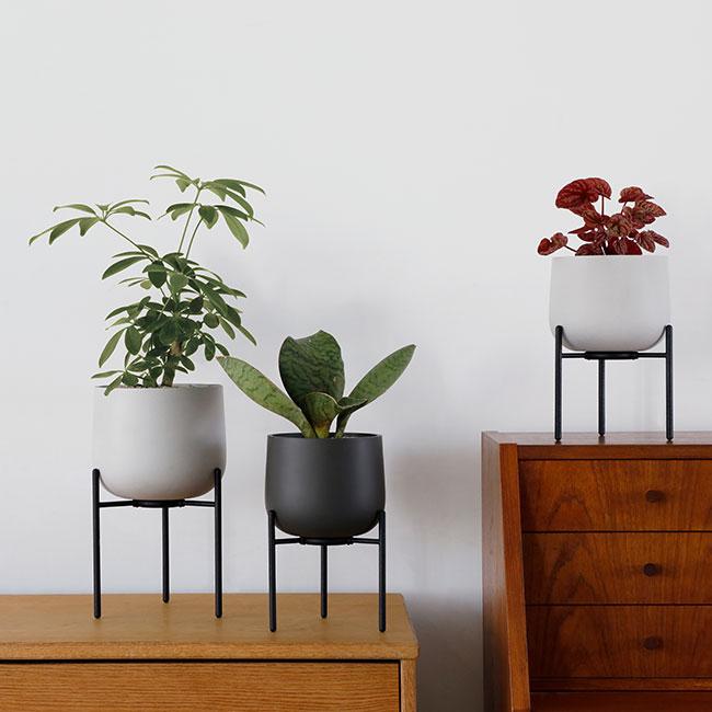 鉢・プランター TOKY SIX Square Pot(M) KINTO キントー プラントポット 211 φ16cm(観葉植物 植木鉢 6号 サイズ