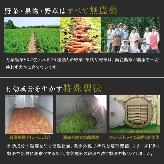 済陽式 万葉効草EX 《3箱セット》(青汁 乳酸菌 酵素ドリンク 国産 済陽