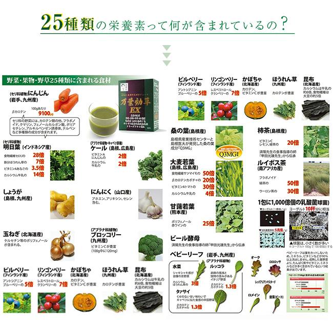 済陽式 万葉効草EX 《3箱セット》(青汁 乳酸菌 酵素ドリンク