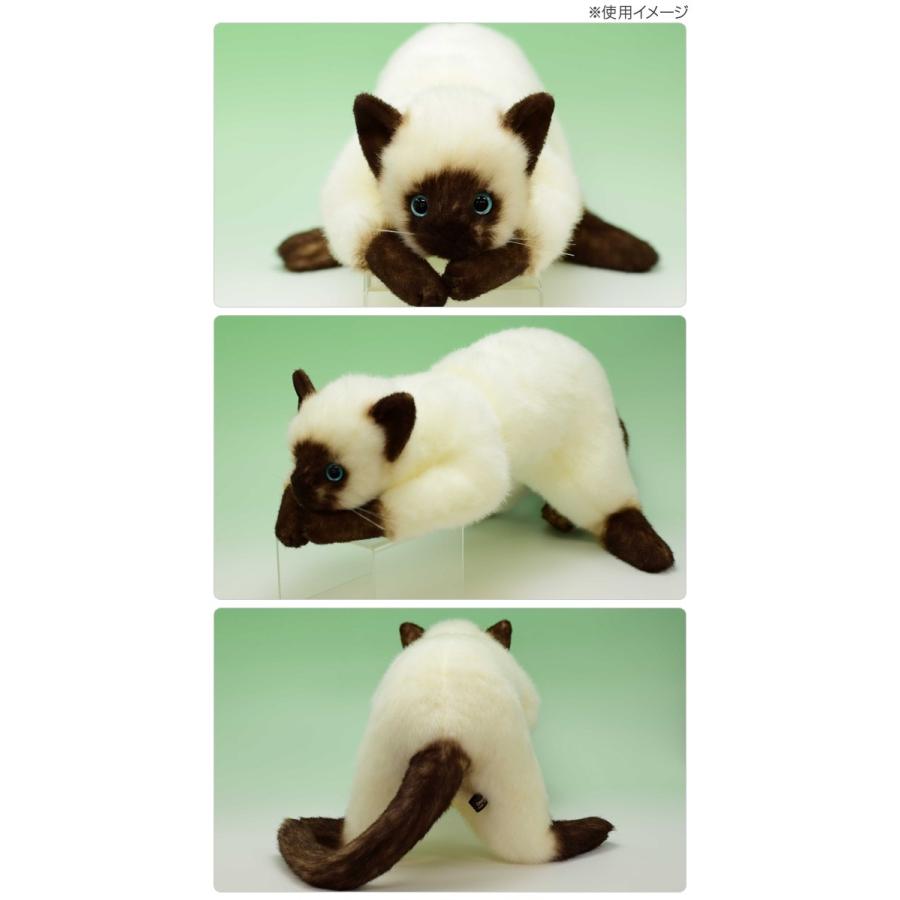 日本製 リアル 猫のぬいぐるみ シャムネコ Llサイズ 2305 日本製 国産 リアルな猫のぬいぐるみ プレゼント 即納 Ni321 キレイスポット 通販 Yahoo ショッピング