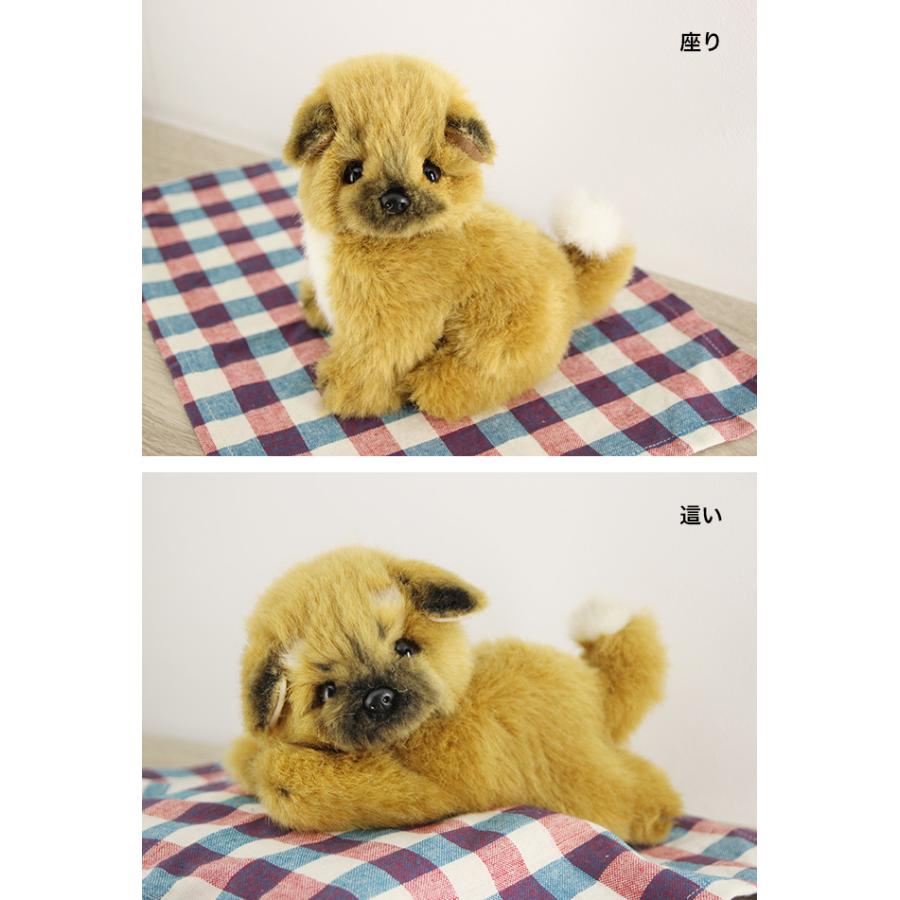 日本製 ぬいぐるみ 仔犬茶s 犬 子犬 仔犬 人形 にんぎょう 玩具 おもちゃ 男の子 女の子 キッズ 子供 こども 子ども 6才 Ni347 キレイスポット 通販 Yahoo ショッピング