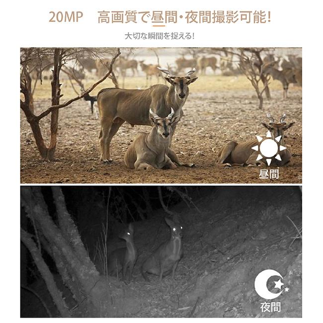 フルハイビジョン 赤外線センサー 暗視カメラ(防犯カメラ 玄関先 駐