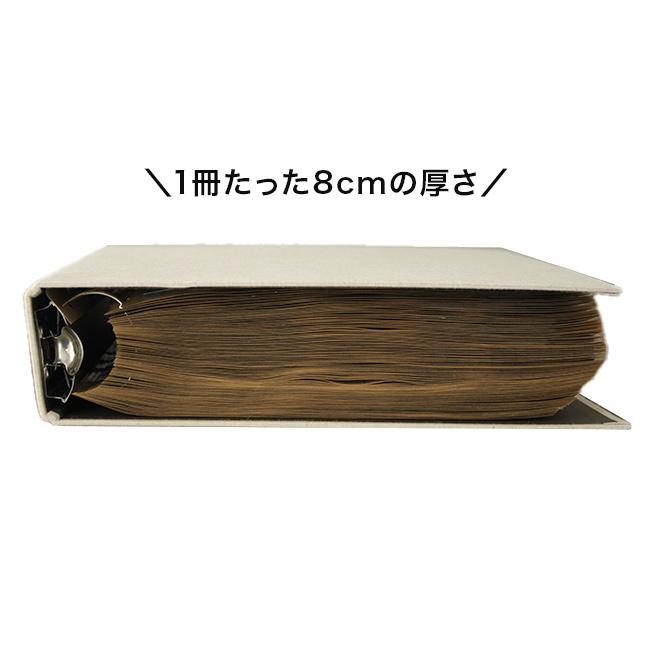 1000枚アルバム ザ フォトグラフ ライブラリー1000 AL-TPL1000(大容量