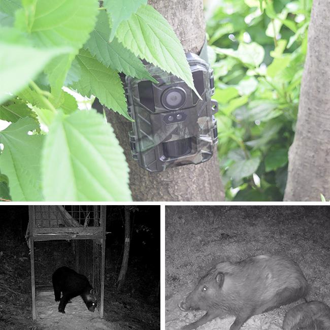 赤外線無人撮影4Kカメラ STR-MiNi800(赤外線カメラ 赤外線 カメラ 防犯