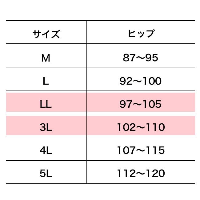 シルエットすっきり レースショーツ 6色組 LLサイズ・3Lサイズ(女性 尿漏れパンツ 大きいサイズ 下腹 ウエスト 補正 補整)