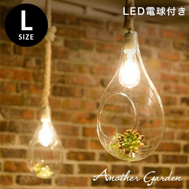 Swan ボタニックハンギングライトl Botanic Hanging Light L Ape 0wh おしゃれなインテリアライト テラリウムになるledの照明 即納 Su935 キレイスポット 通販 Yahoo ショッピング