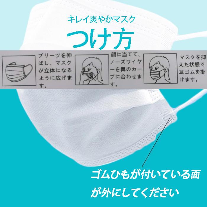 1000円off ポイント10倍 マスク 袋10枚入 10袋 使い捨て 不織布 男女兼用 ウイルス 花粉 飛沫 秋冬 ホワイト 送料無料 在庫あり Kirei Kc10 Kirei綺麗な空間 通販 Yahoo ショッピング