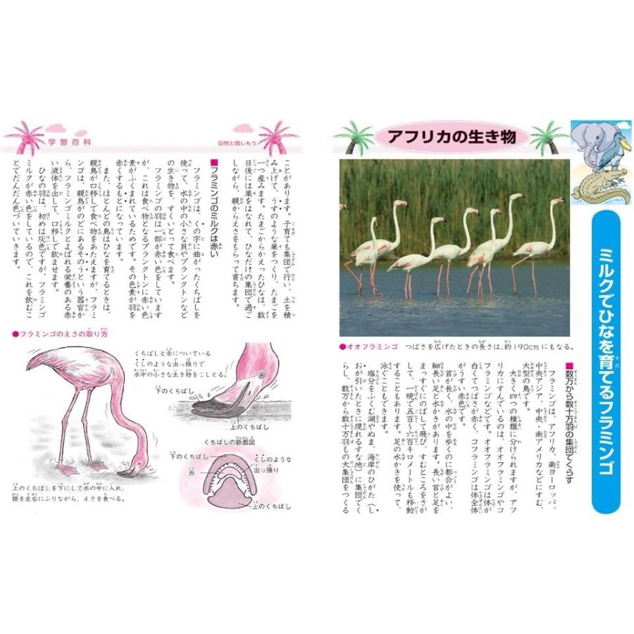 ショウワノート 学習帳 ジャポニカ 国語 12行縦 十字補助線入り B5 5冊パック JL-11*5 |  | 02