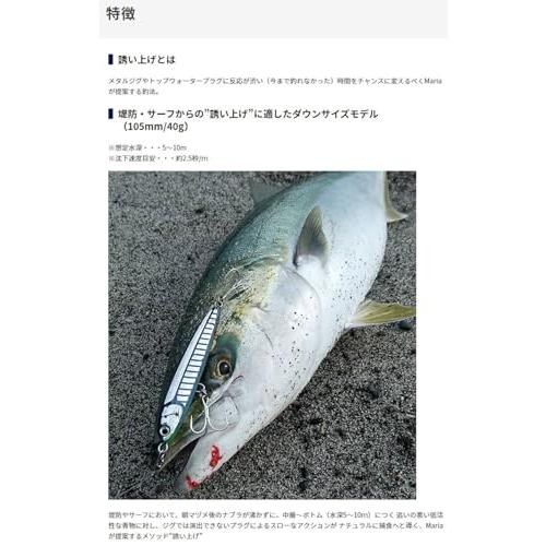 ヤマシタ(YAMASHITA) ルアー リライズ S105 B13H ブルピンイワシ 612134 |  | 02
