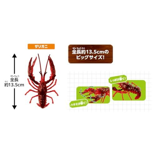 タカラトミー アニア 大自然の最強いきものセット 動物 恐竜 おもちゃ 3歳以上 |  | 02