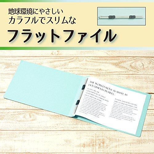 PLUS(プラス) プラス フラットファイル A4横 2穴 10冊パック No.022NP