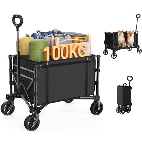 Raynesys キャリーワゴン アウトドアワゴン 耐荷重100kg 大容量120L