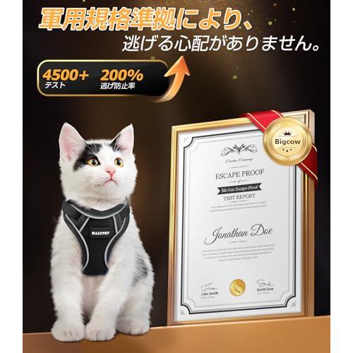 Bigcow 猫 猫用 ハーネスリード セット 猫牽引ロープ リード 猫ハーネス 猫用ハーネス 胴輪 猫具 ねこ ネコ 子猫 散歩 お出かけ 抜 |  | 01