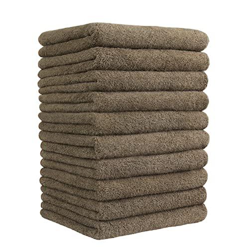 Etech フェイスタオル ホテル仕様 通気 高速吸水 マイクロファイバー 10枚セット 肌に優しい ふわふわ 柔らか肌触り 耐久性 無地 (ブ | 