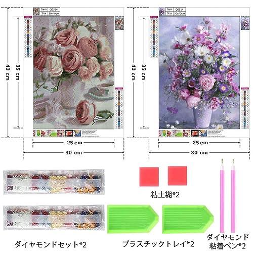 サムコス ダイヤモンドアート キット ダイヤモンドの絵画 2個セット きれい 全面貼り付け ダイヤモンドアート 塗装 初心者 大人の子供 手芸キ |  | 01