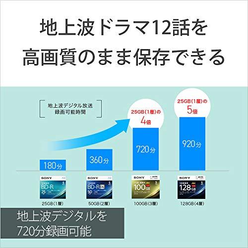 ソニー ブルーレイディスク BD-RE XL 100GB (1枚あたり地デジ約12時間