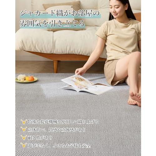 VK Living ラグ カーペット 130X190cm ラグマット 1.5畳 大人の雰囲気 ヘリンボーン柄 オールシーズン おしゃれ 絨毯 北 |  | 02