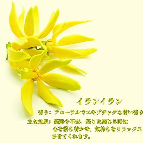 Poven イランイラン エッセンシャルオイル 天然100％ イランイラン精油 アロマオイル 10ml |  | 01