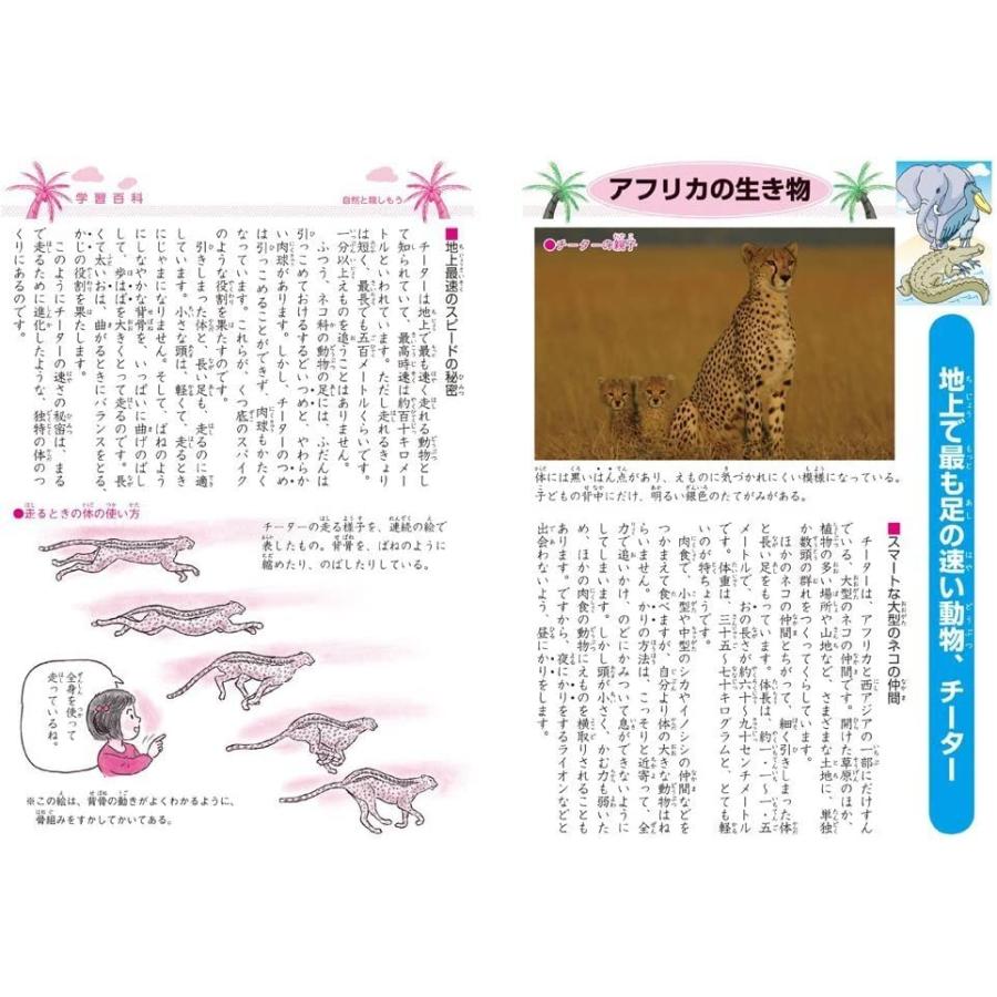 ショウワノート ジャポニカ学習帳 B5判 漢字練習帳 120字 3冊パック JL-50-2*3 |  | 02