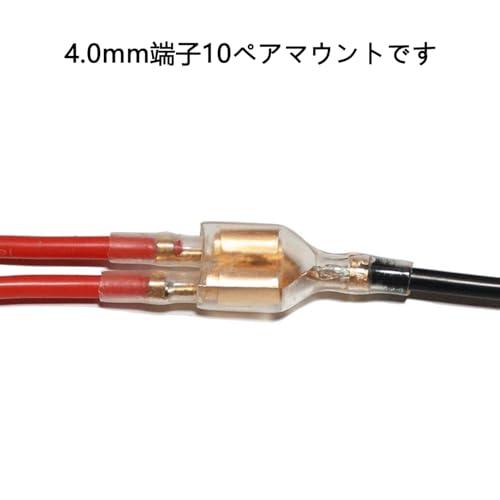 Aurooooa ギボシ端子セット 2穴マザー端子 10組 金色 ギボシターミナル