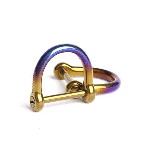 [TISUR] キーリング チタン キーホルダー Dカン スマートキー用に キーチェーン 紛失防止 シャックル 艶のある表面 (チタン Dリング |  | 01