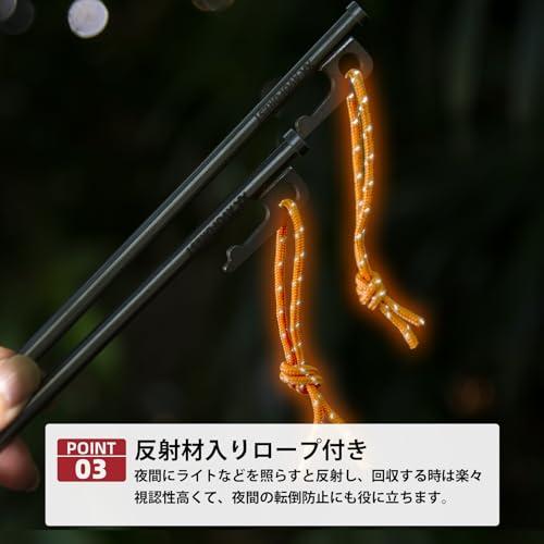 ペグ チタン製 AVOFOREST チタンペグ 太いヘッド 20cm 25cm 30cm 2本/6