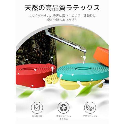 PROIRON トレーニングチューブ 懸垂 チューブ レジスタンスバンド