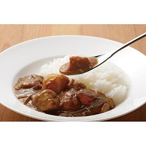 下村企販 食べやすい カレースプーン 2本組 日本製 食洗機対応 スリムで食べやすい ピカピカのミラー仕上げ シンプルなデザイン 全長18.5c |  | 02