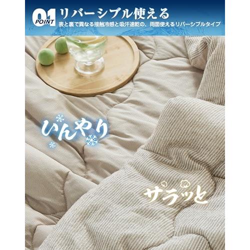 VK Living 夏用掛け布団 肌掛け布団 シングル リバーシブル SUPER ICE