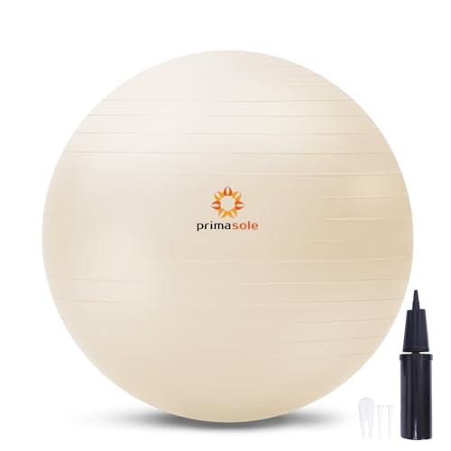 プリマソーレ フィットネスボール 空気入れ付き バランスボール