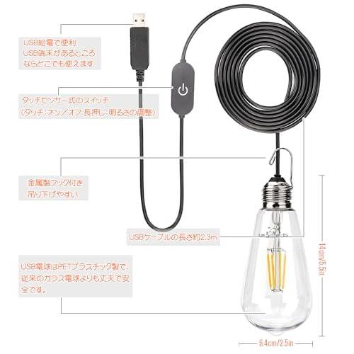 USB電球 LEDランタン吊り下げ 調光 電球色2700K 40W形相当 レトロ 電球型 LED照明 車中泊 停電 防災 応急 キャンプ用ライト |  | 01