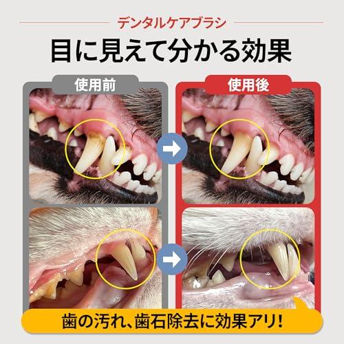 JAYU PET デンタルケアブラシ - 猫の歯石・歯垢除去用ソフト歯ブラシ 横向きヘッド＆S字カーブボディ (1 ソフト毛) |  | 01