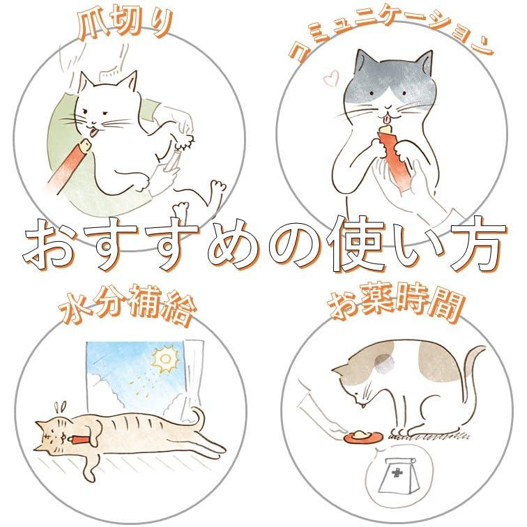 チャオ(CIAO)ピュアちゅ〜る4種のバラエティ40本 : ルミナスエイト