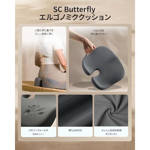 ProtoArc 椅子クッション 長時間座れる 快適な座り心地 人間工学 圧力