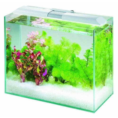 水槽 コトブキ工芸 アクアミックス 315 PFセット 水槽セット | チャーム