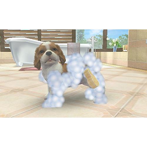 ハッピープライスセレクション nintendogs + cats フレンチ・ブル