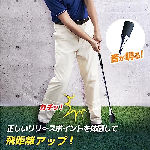 ダイヤゴルフ(DAIYA GOLF) ゴルフ練習器 スイング525 TR-525 メンズ