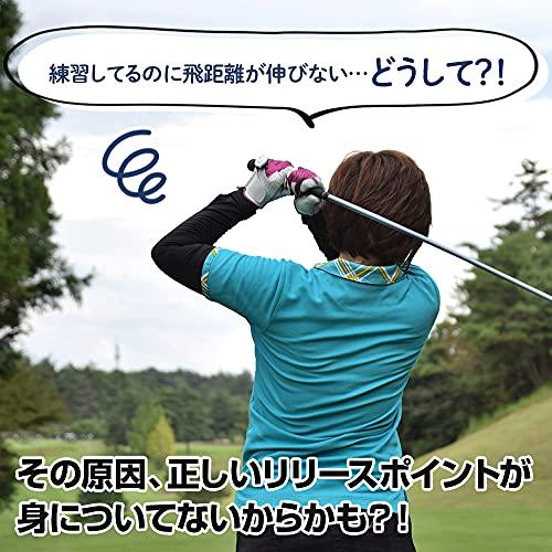 ダイヤゴルフ(DAIYA GOLF) ゴルフ練習器 スイング525 TR-525 メンズ