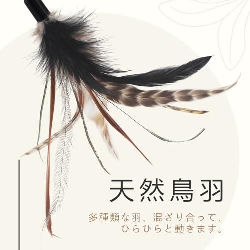 SONGWAY 猫おもちゃ ねこじゃらし 羽 ４個用 天然羽 原色 |  | 01