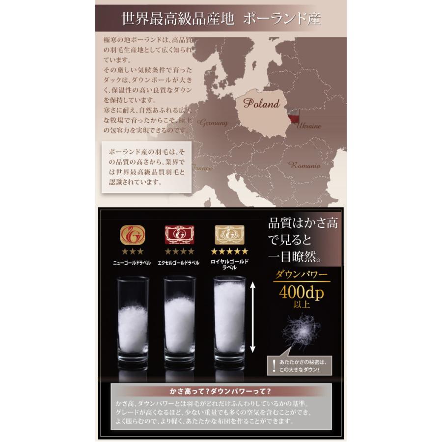 大注目 日本製 ポーランド産ホワイトダックダウン90 ロイヤルゴールドラベル 羽毛掛け布団 Selena セレナ キング モカブラウン キリーショップ 通販 Yahoo ショッピング 美しい Www Ladislexia Net